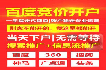 解析SEM代运营托管公司在市场竞争中的角色